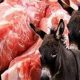 Algérie : Les sombres secrets du commerce de la viande d'âne