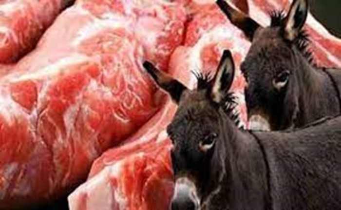 Algérie : Les sombres secrets du commerce de la viande d'âne