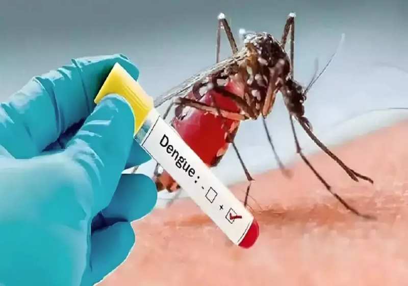 La dengue fait des centaines de morts au Burkina Faso alors que les cas augmentent