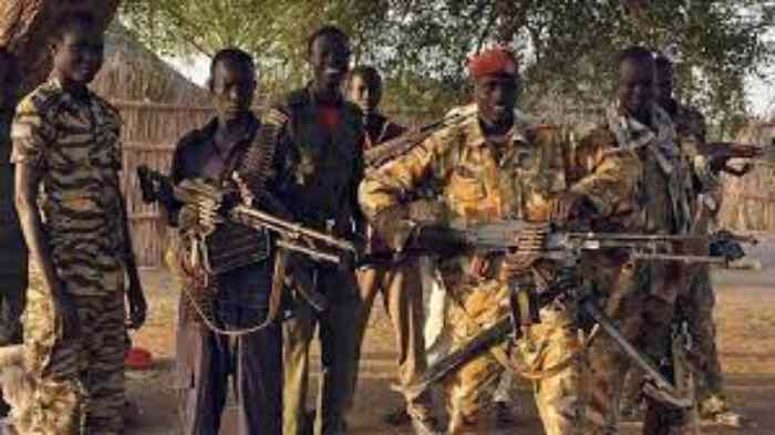 Des terroristes assiègent la plus grande ville du nord du Burkina Faso
