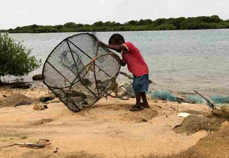 Alerte précoce entre adaptation et survie…Qu'a fait Djibouti ?