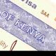 Le Kenya met fin à l'obligation de visa pour tous les visiteurs africains d'ici la fin de l'année