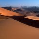 Témoignages climatiques du passé, le Sahara Africain est une « zone verte » !
