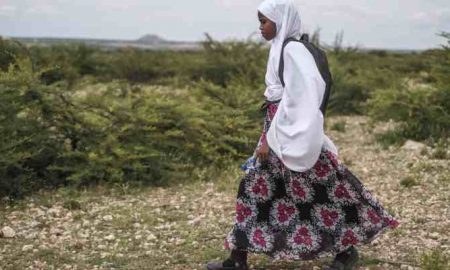 Somaliland : l'éducation des enfants impactée par les sécheresses récurrentes