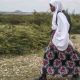 Somaliland : l'éducation des enfants impactée par les sécheresses récurrentes