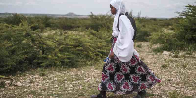 Somaliland : l'éducation des enfants impactée par les sécheresses récurrentes