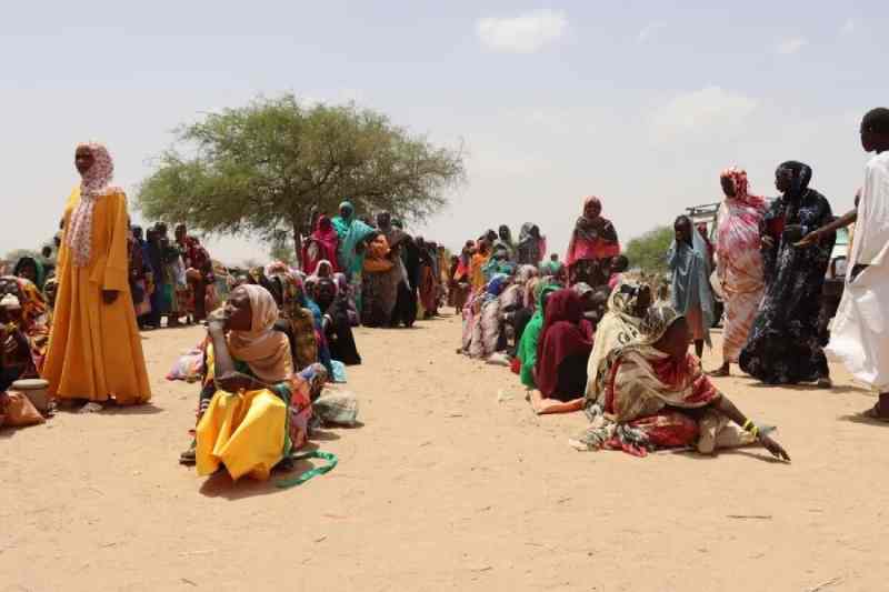 Soudan : L'aide entre au Kordofan et au Darfour après un retard de 6 semaines