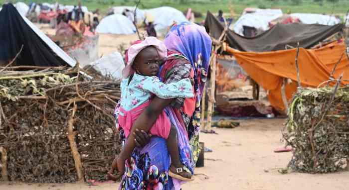 Nations Unies : Plus de 2,1 millions de personnes souffrent d'insécurité alimentaire aiguë au Tchad