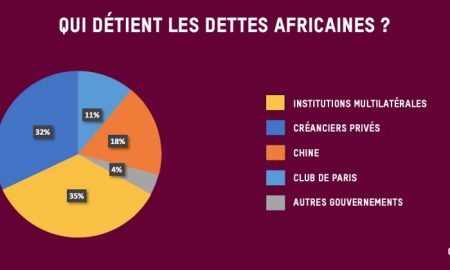 Les pays africains sont confrontés à une crise de la dette intérieure tout en étant exclus des marchés d’emprunt extérieurs