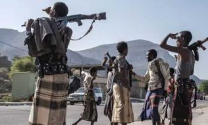 Les pourparlers entre l'Éthiopie et le groupe rebelle OLA se terminent sans accord