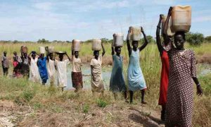La FAO apporte un soutien à un million de familles agricoles au Soudan