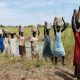 La FAO apporte un soutien à un million de familles agricoles au Soudan