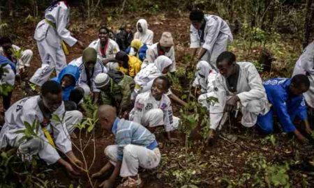 Kenya : le gouvernement déclare un jour férié pour planter des arbres