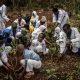 Kenya : le gouvernement déclare un jour férié pour planter des arbres