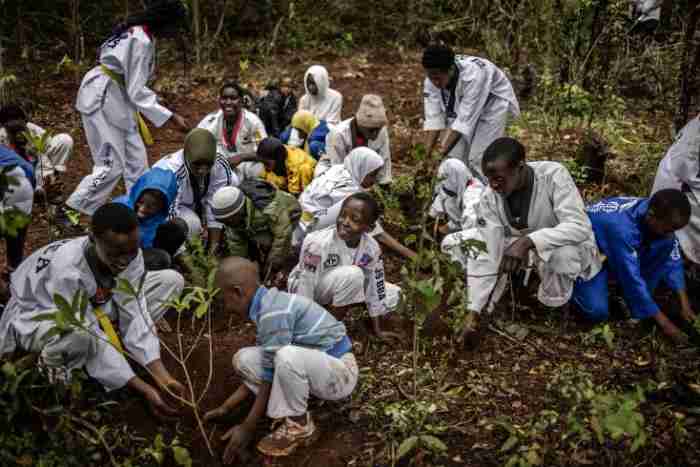 Kenya : le gouvernement déclare un jour férié pour planter des arbres