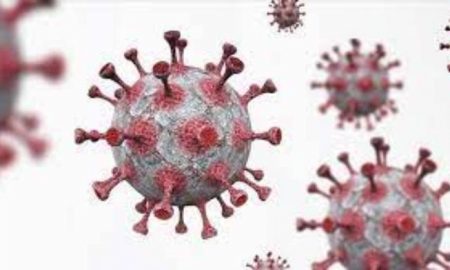 L'OMS met en garde contre une augmentation des infections par le virus Ambox (variole du singe) dans un pays africain