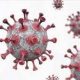 L'OMS met en garde contre une augmentation des infections par le virus Ambox (variole du singe) dans un pays africain