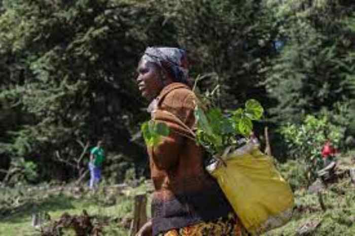 Le peuple Ogiek du Kenya continue de lutter contre l’expulsion de la forêt de Mau