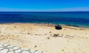 Erosion des plages en Tunisie...La côte d'Hammamet est devenue menacée