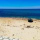 Erosion des plages en Tunisie...La côte d'Hammamet est devenue menacée