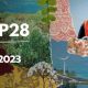 5 priorités clés pour lutter contre le changement climatique en Afrique à la COP28