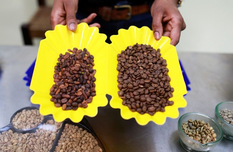 Les sociétés internationales de café réduisent leurs importations en provenance d'Afrique en raison d'une loi européenne