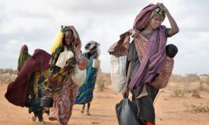Une étude récente met en garde contre les répercussions des vagues croissantes de déplacements dans les décennies à venir en Afrique