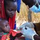 Un nouveau médicament contre le paludisme pourrait-il donner aux bébés africains de meilleures chances de survie ?