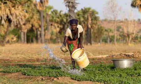 La BAD annonce un mécanisme d'assurance d'un milliard de dollars pour protéger des millions d'agriculteurs en Afrique