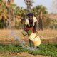 La BAD annonce un mécanisme d'assurance d'un milliard de dollars pour protéger des millions d'agriculteurs en Afrique