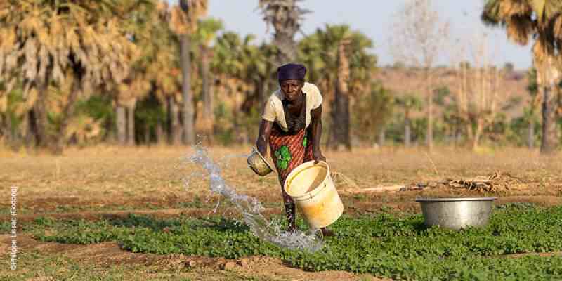 La BAD annonce un mécanisme d'assurance d'un milliard de dollars pour protéger des millions d'agriculteurs en Afrique