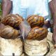 Les élevages d'escargots géants sont en plein essor en Côte d'Ivoire