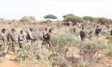L'Éthiopie déjoue une attaque planifiée par le groupe somalien Al-Shabaab sur son territoire