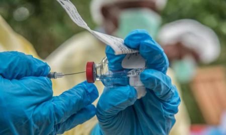 L'OMS signale des épidémies de charbon dans cinq pays d'Afrique de l'Est et d'Afrique australe, entraînant 20 décès