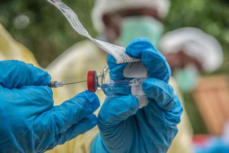 L'OMS signale des épidémies de charbon dans cinq pays d'Afrique de l'Est et d'Afrique australe, entraînant 20 décès