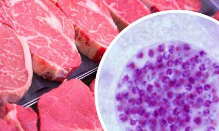 Les produits à base de viande de bœuf interdits en Ouganda en raison d'une épidémie animale