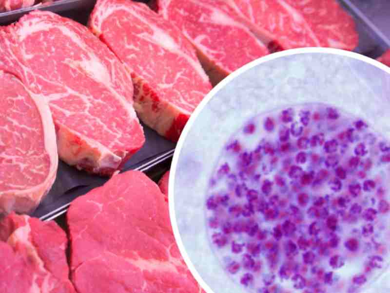 Les produits à base de viande de bœuf interdits en Ouganda en raison d'une épidémie animale