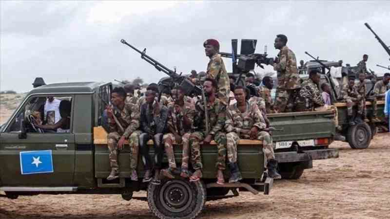Responsable somalien : plus de 30 éléments terroristes ont été tués dans le centre du pays