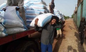 Soudan : nous avons produit suffisamment de maïs et de sésame pour répondre à nos besoins
