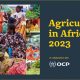 Rapport sur l'agriculture en Afrique 2023 par Oxford Business Group