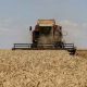 La Russie fournit à l'Afrique centrale 50 000 tonnes de céréales à titre d'aide