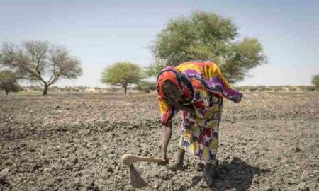 Le changement climatique et ses implications sur l'insécurité alimentaire en Afrique subsaharienne