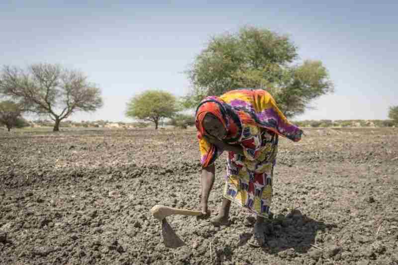 Le changement climatique et ses implications sur l'insécurité alimentaire en Afrique subsaharienne