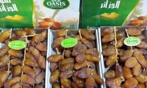 Scandale des dattes algériennes : La colère gronde à l'approche du Ramadan