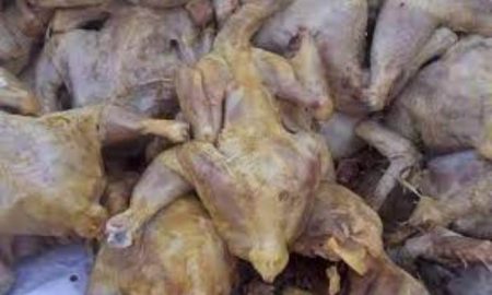 Algérie : Saisie de plus13.5 quintaux de poulets pourris et d'entrailles de chats et de chiens destinés aux restaurants