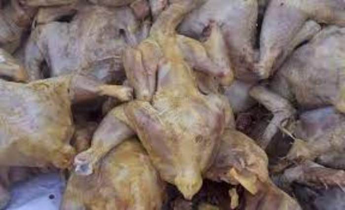 Algérie : Saisie de plus13.5 quintaux de poulets pourris et d'entrailles de chats et de chiens destinés aux restaurants