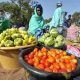 La Banque mondiale approuve un prêt de 200 millions de dollars pour renforcer la résilience des systèmes alimentaires au Sénégal