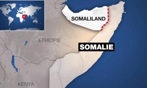 Le président somalien tient une réunion d’urgence du Conseil consultatif pour répondre à l’accord entre l’Éthiopie et le Somaliland