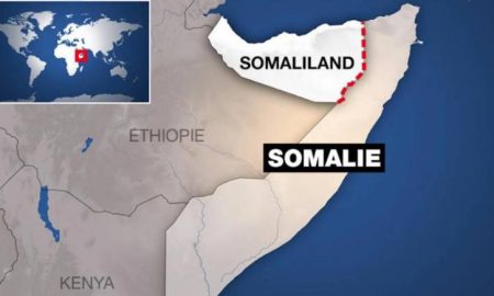 Le président somalien tient une réunion d’urgence du Conseil consultatif pour répondre à l’accord entre l’Éthiopie et le Somaliland