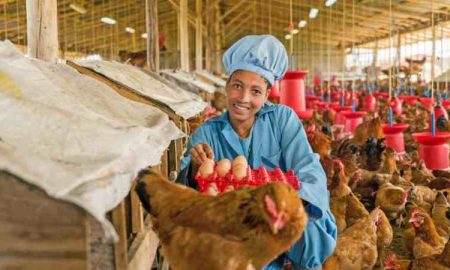 Hatch Africa lève 9,5 millions de dollars pour développer son activité avicole à forte croissance en Afrique subsaharienne